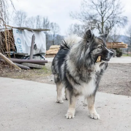 Sunntratn Apartment Gaissach