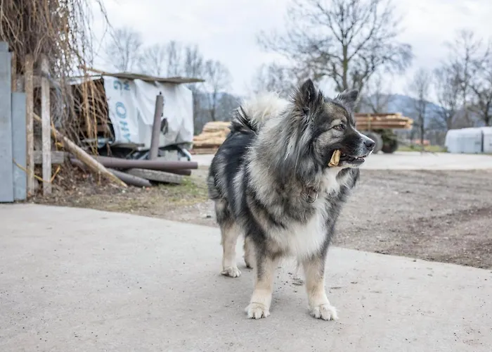 Sunntratn 아파트 Gaissach